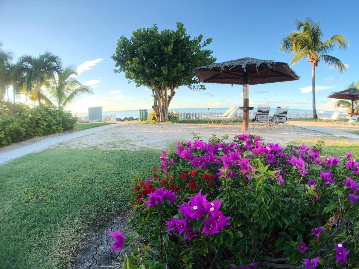 St. John's Dickenson Bay Oasis At Antigua Village מראה חיצוני תמונה