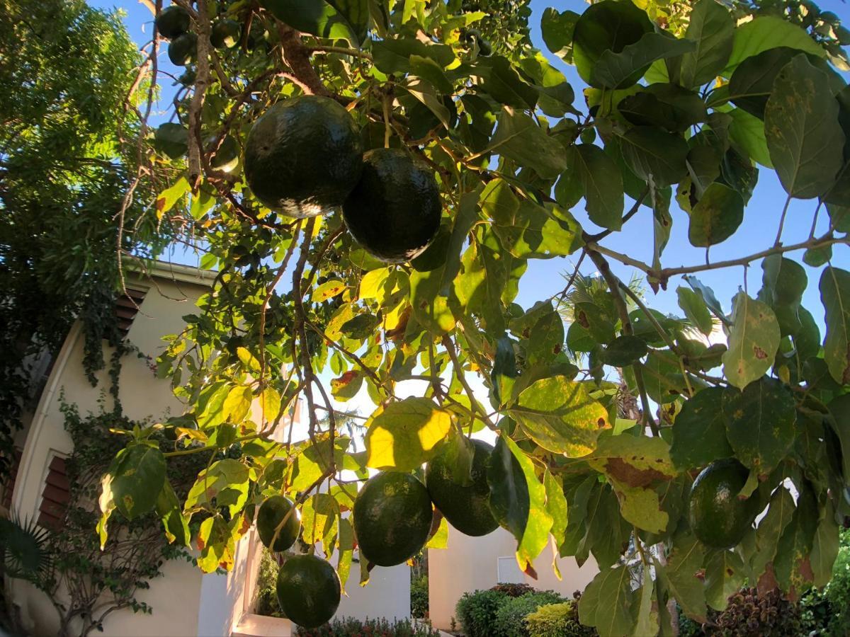 St. John's Dickenson Bay Oasis At Antigua Village מראה חיצוני תמונה